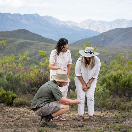 Wildehondekloof Game Lodge Matjiesrivier (Garden Route) Exterior foto