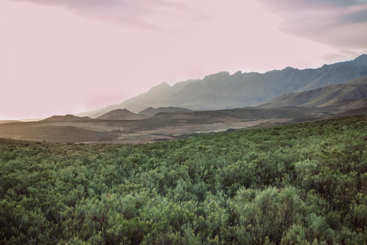 Wildehondekloof Game Lodge Matjiesrivier (Garden Route) Exterior foto