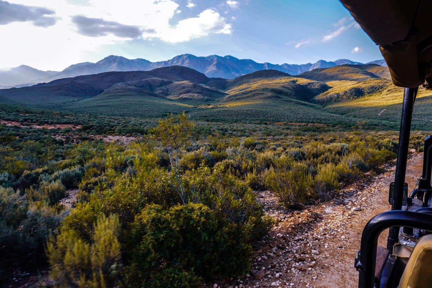 Wildehondekloof Game Lodge Matjiesrivier (Garden Route) Exterior foto