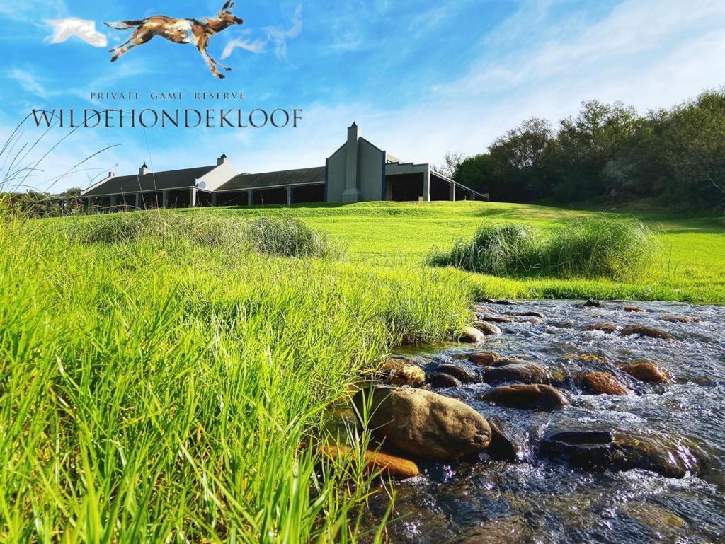 Wildehondekloof Game Lodge Matjiesrivier (Garden Route) Exterior foto