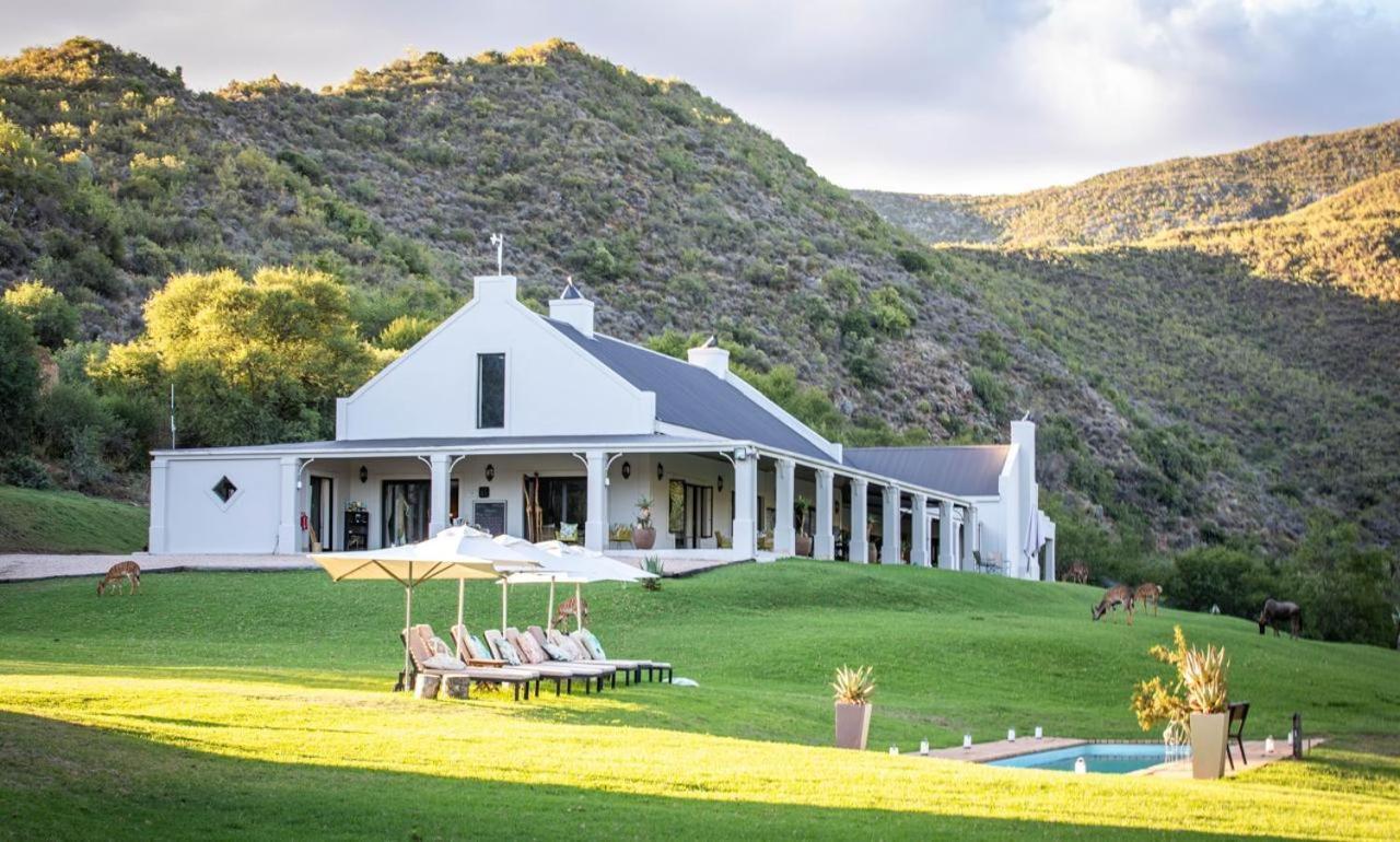 Wildehondekloof Game Lodge Matjiesrivier (Garden Route) Exterior foto